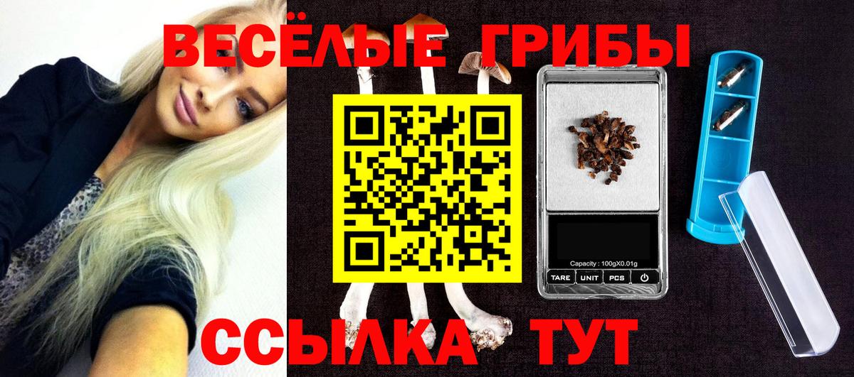 Псилоцибиновые грибы Psilocybe  Вход с VPN  Псилоцибиновые грибы MAGIC MUSHROOMS  Темрюк 