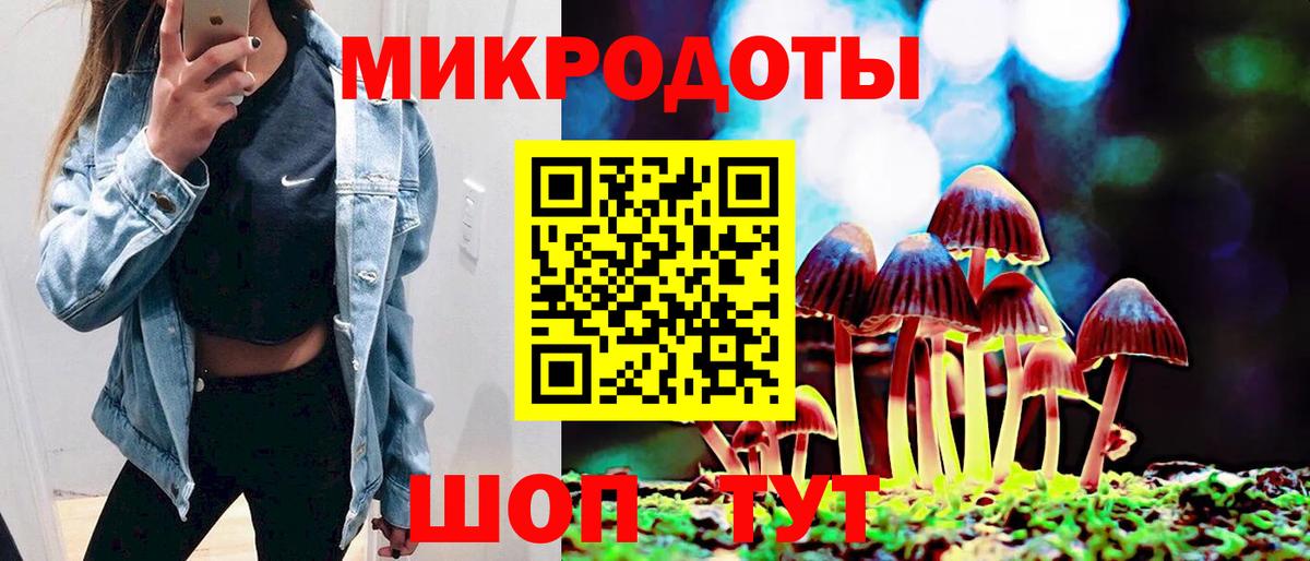Псилоцибиновые грибы Psilocybine cubensis Темрюк